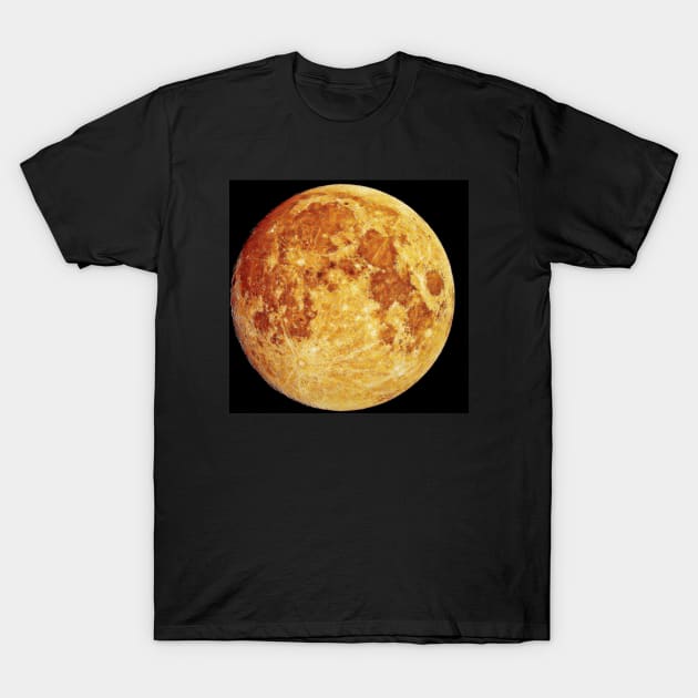 Full moon T-Shirt by RobertsArt